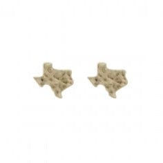 Envy Stylz Boutique Women - Accessories - Earrings Hammered Gold Texas Stud Earrings